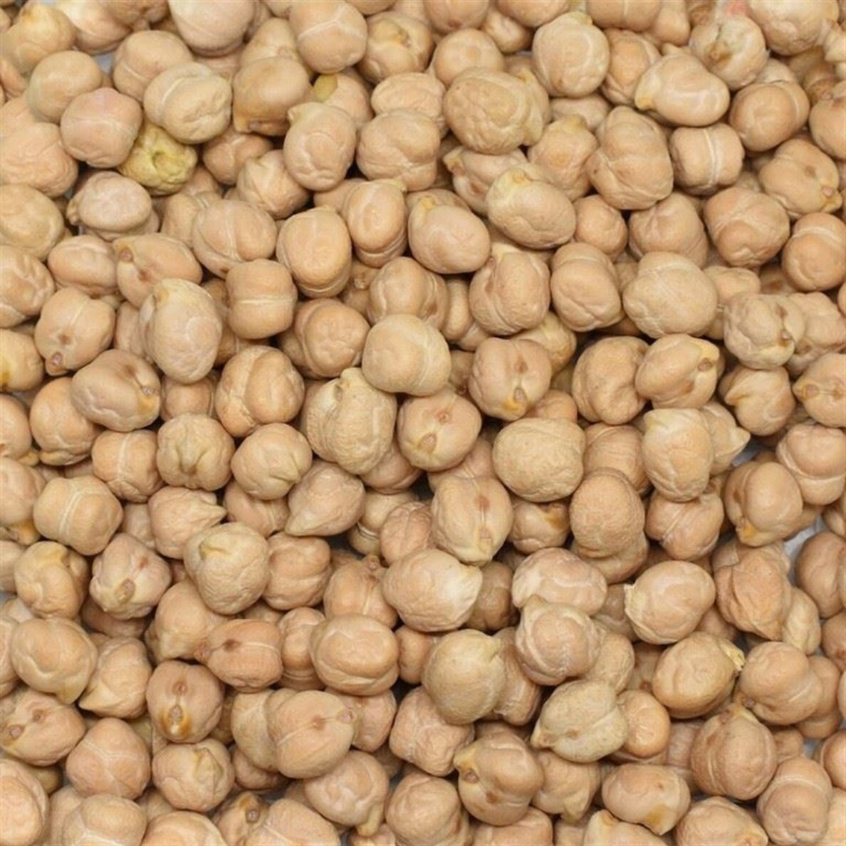 Avinžirniai, 25kg Avinžirniai, 25kg
